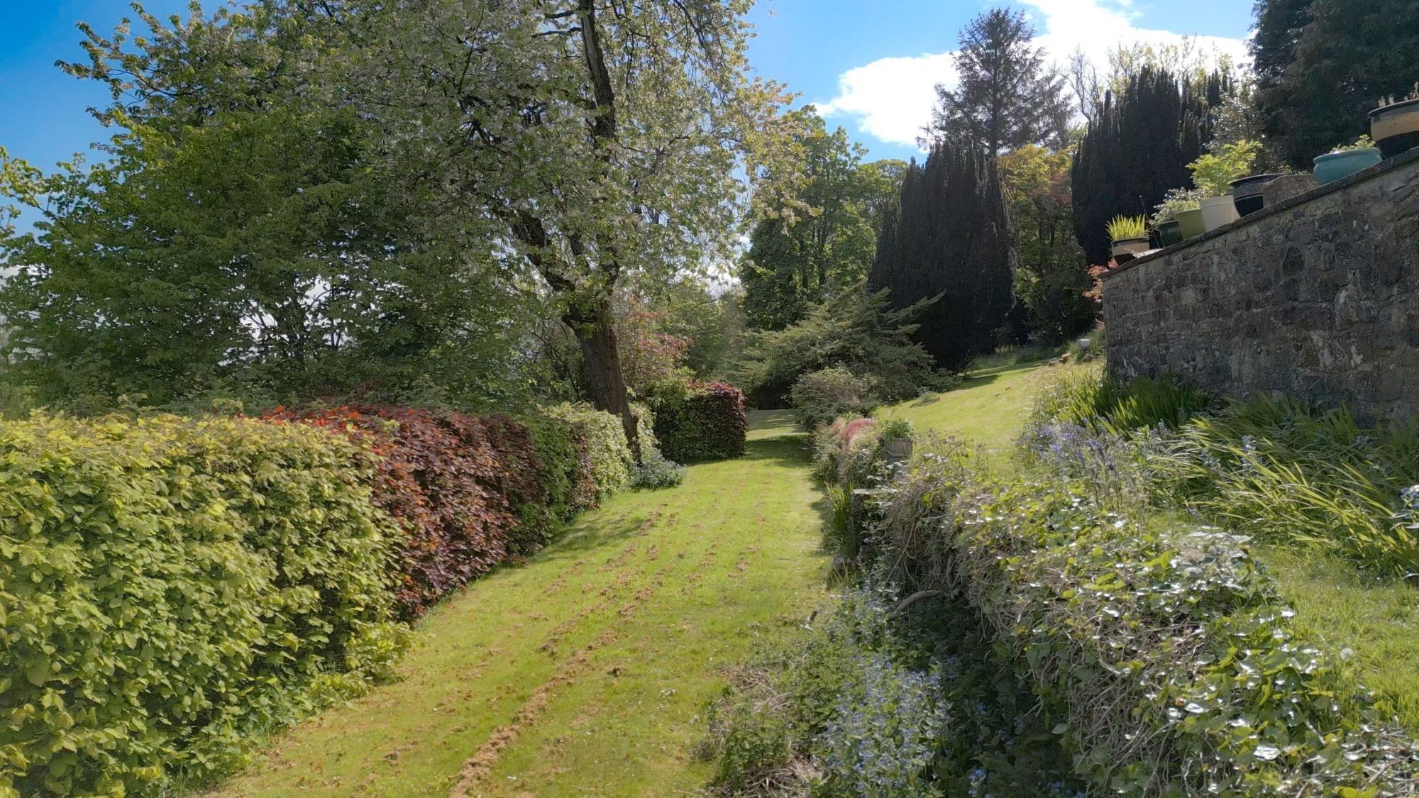 A mown grass path between clipped hedges beneath the old stone garden wall