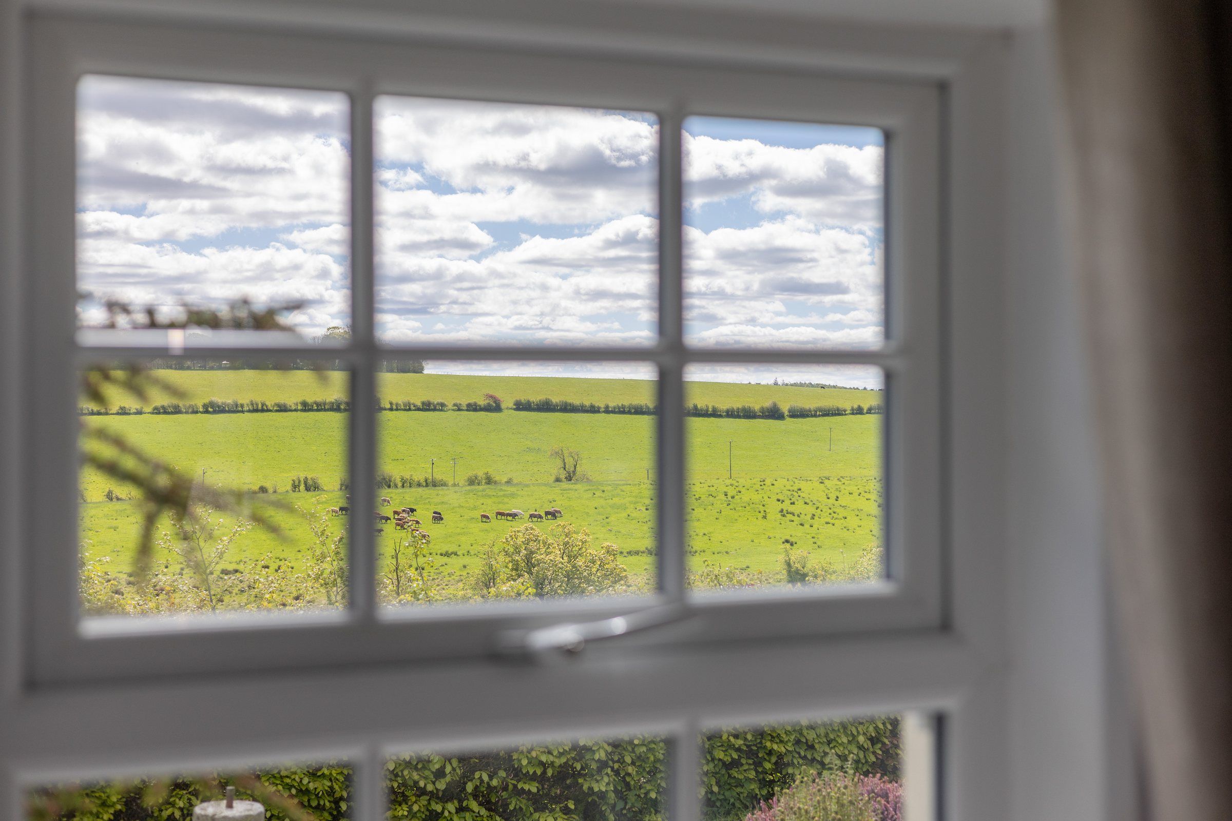 Fields and grazing cattle seen through a bedroom window